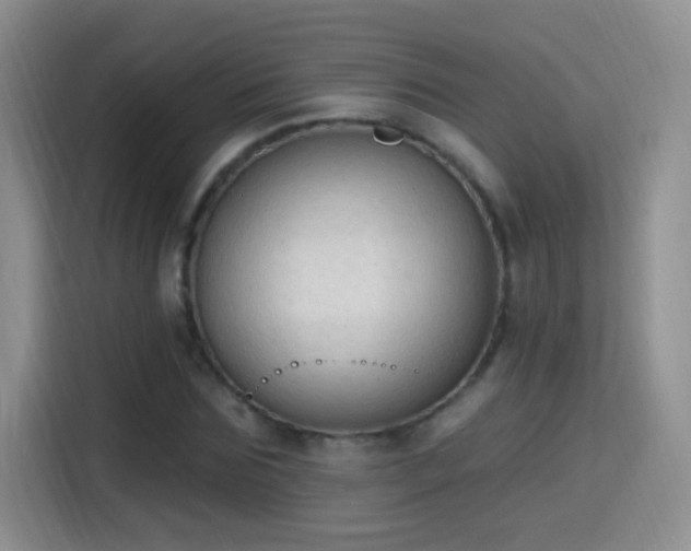 X0000115420875200911101629