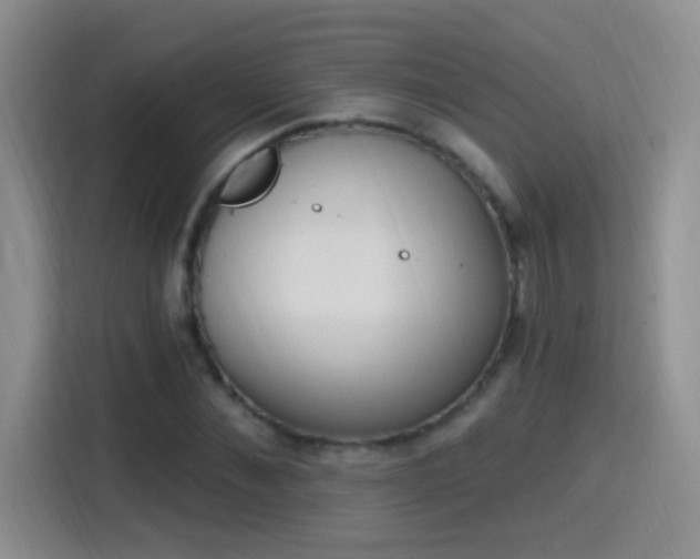 X0000115420876200911101629