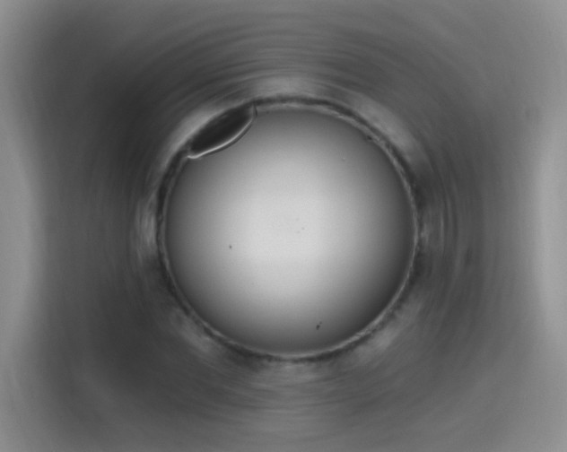X0000115420877200911101629
