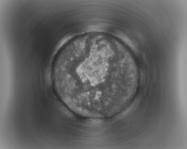 X0000115420878200911101629