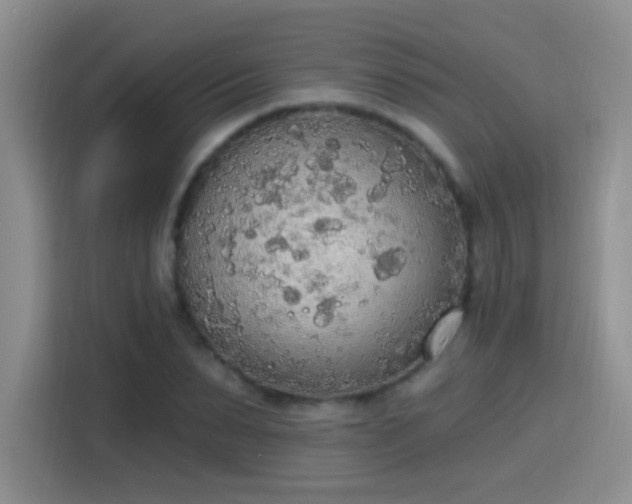 X0000115420879200911101629