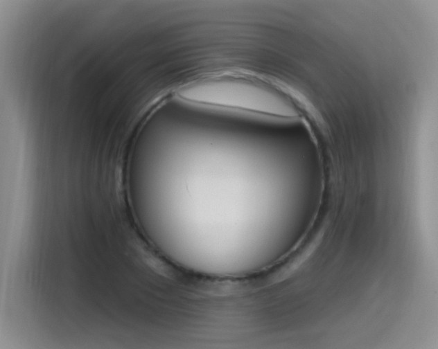 X0000115420881200911101629