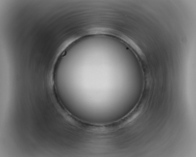 X0000115420885200911101629