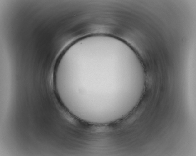 X0000115420886200911101629