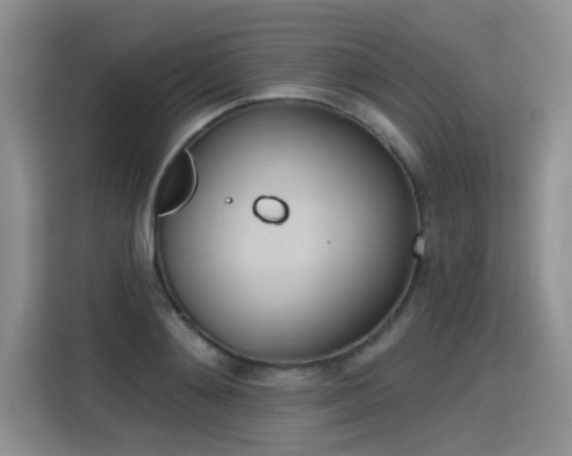 X0000115420892200911101629