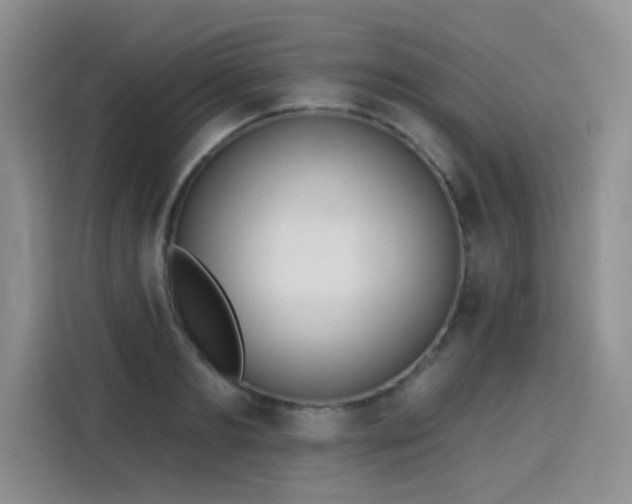 X0000115420893200911101629