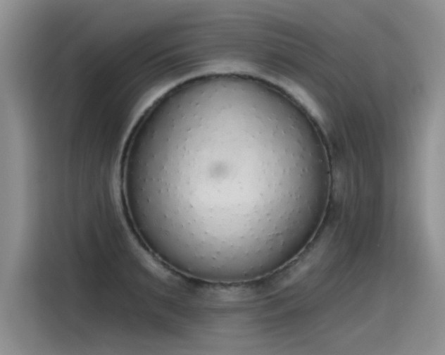 X0000115420895200911101629
