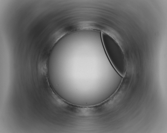 X0000115420897200911101629