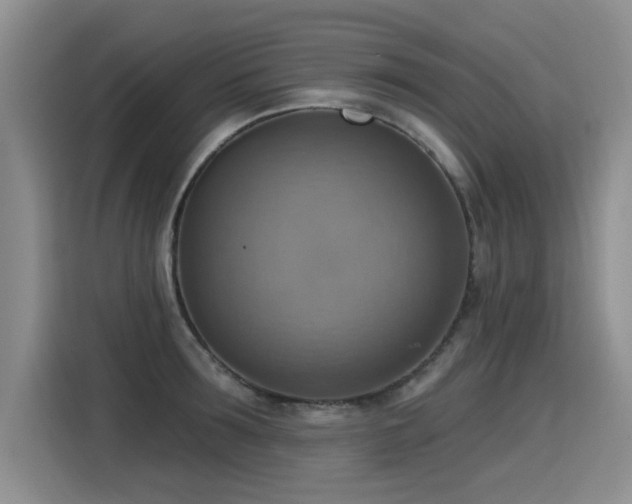 X0000115420899200911101629