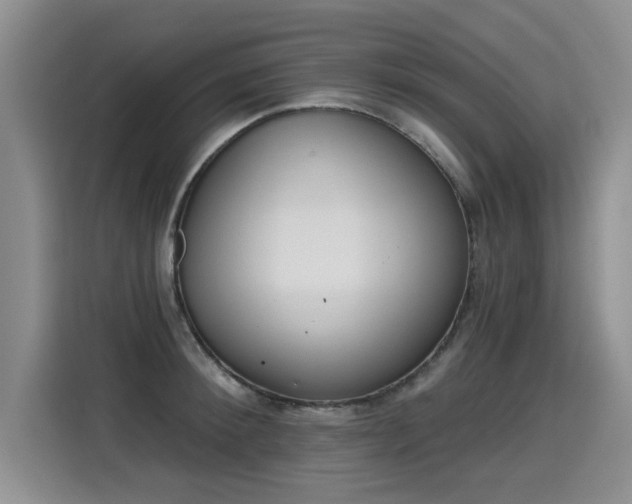 X0000115420900200911101629