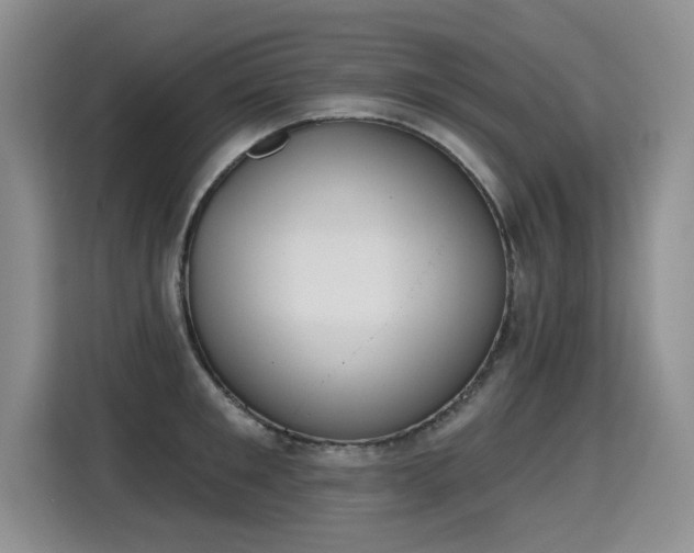 X0000115420901200911101629
