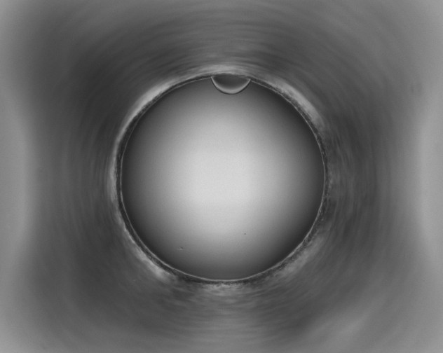 X0000115420902200911101629