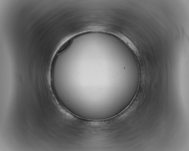X0000115420904200911101629