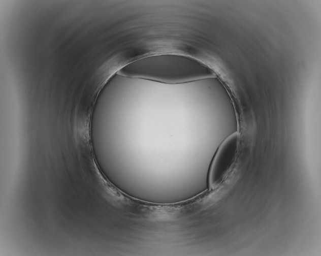 X0000115420905200911101629