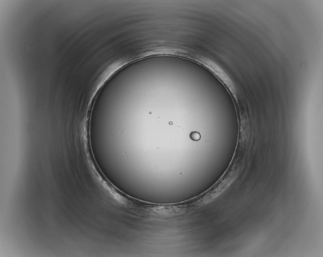 X0000115420906200911101629