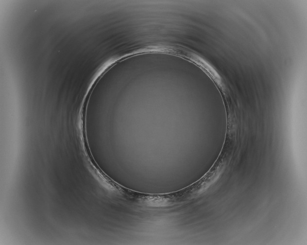 X0000115420907200911101629