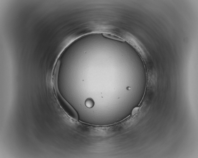 X0000115420908200911101629