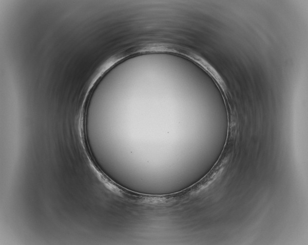 X0000115420909200911101629