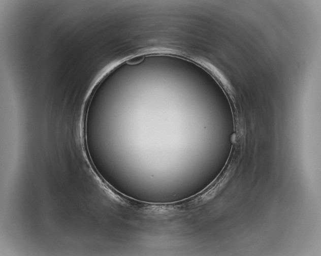 X0000115420910200911101629