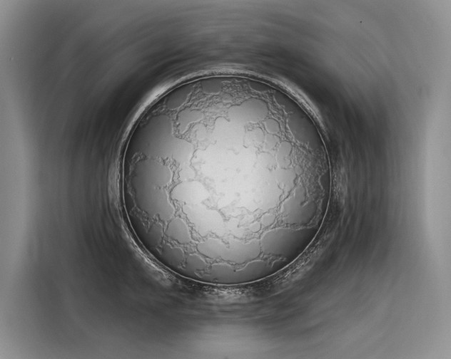 X0000115420911200911101629