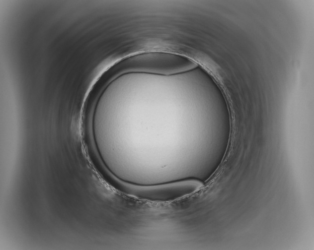 X0000115420912200911101629