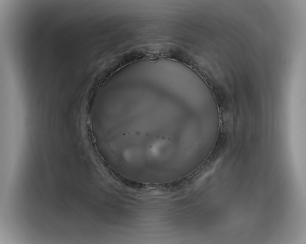 X0000115420913200911101628