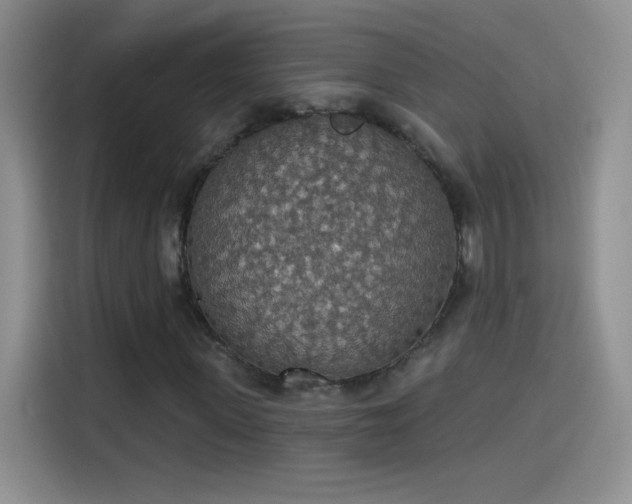 X0000115420915200911101628