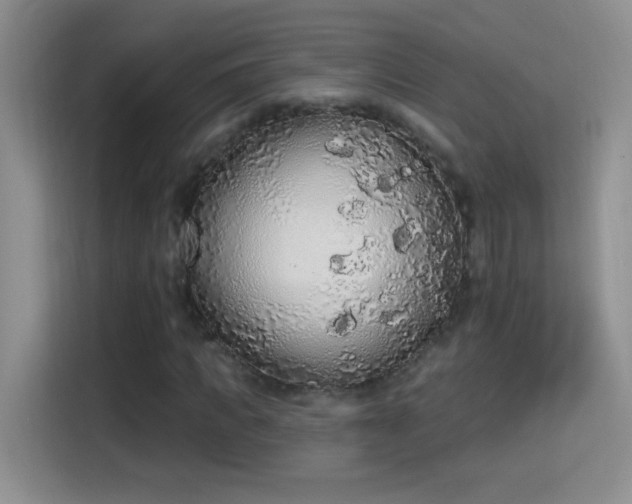 X0000115420917200911101628