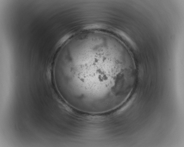 X0000115420921200911101628