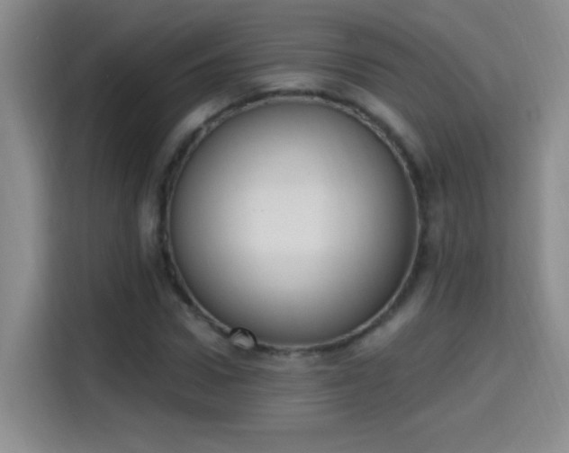 X0000115420922200911101628