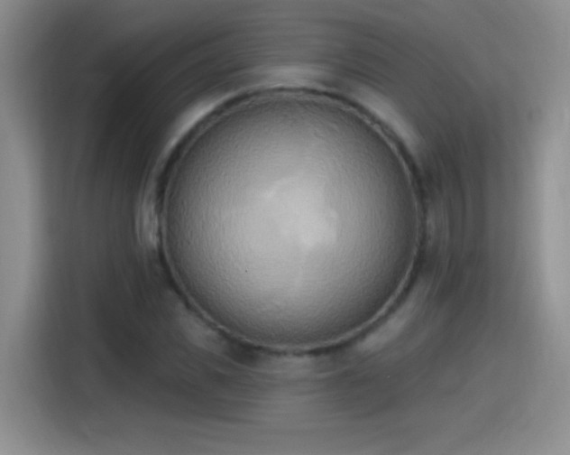 X0000115420925200911101628