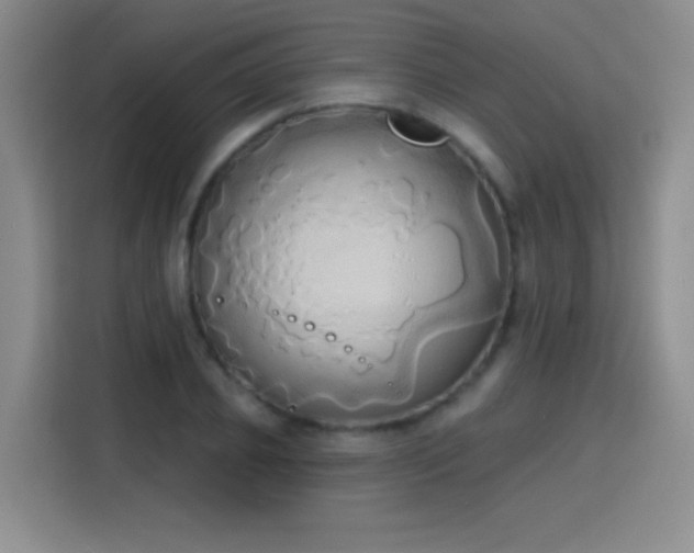 X0000115420933200911101628