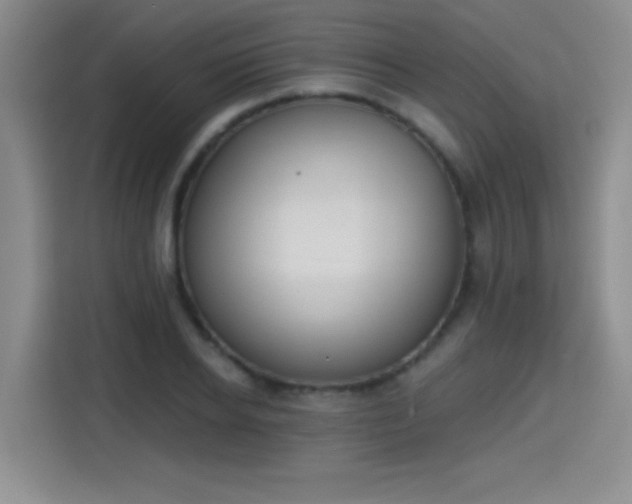 X0000115420934200911101628