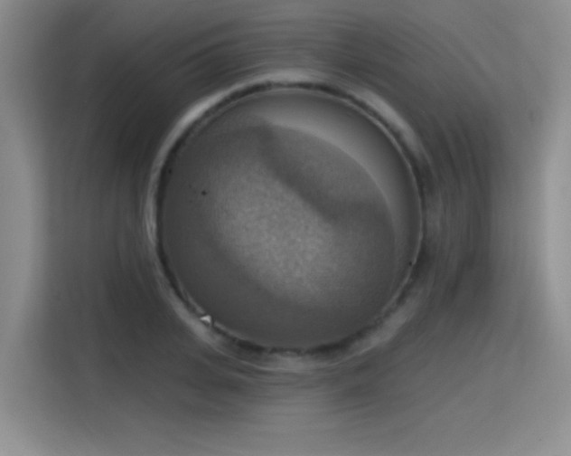 X0000115420935200911101629