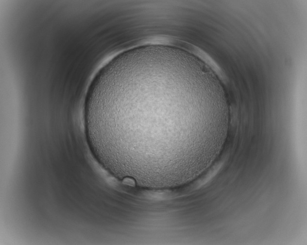 X0000115420939200911101629