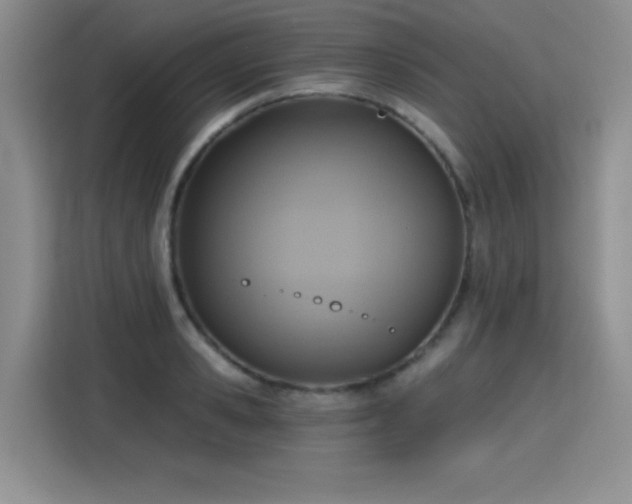 X0000115420941200911101629