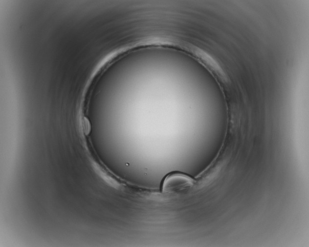 X0000115420942200911101629