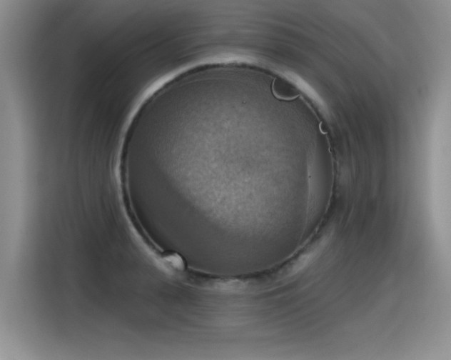 X0000115420943200911101629