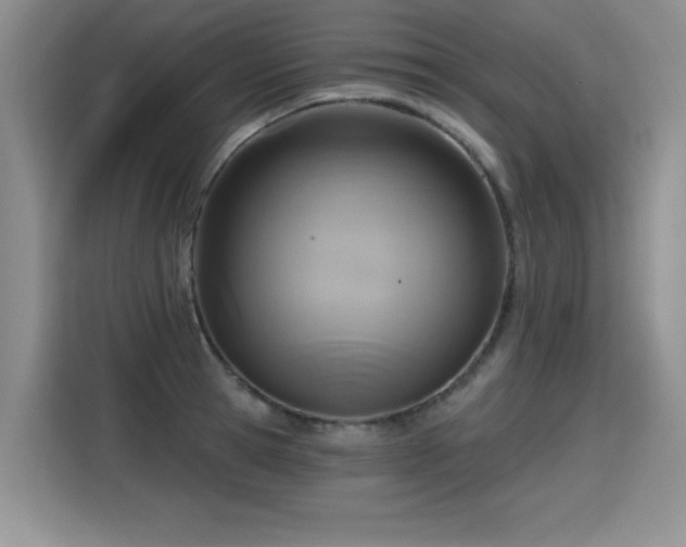 X0000115420945200911101629