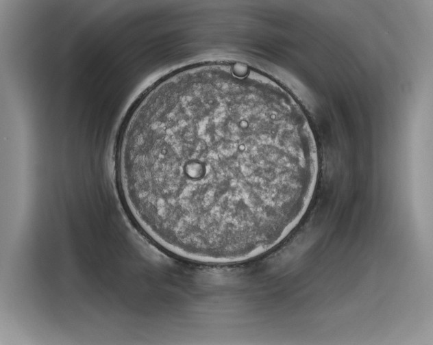 X0000115420950200911101629