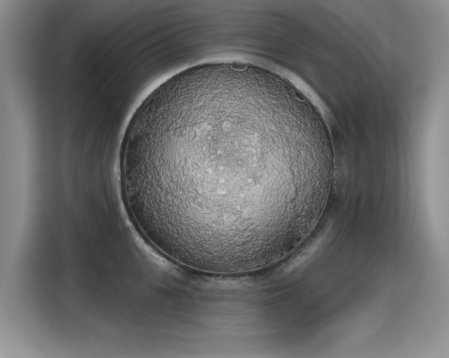 X0000115420951200911101629