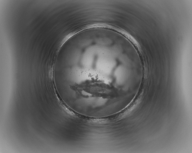 X0000115420953200911101629