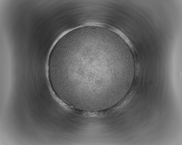 X0000115420955200911101629