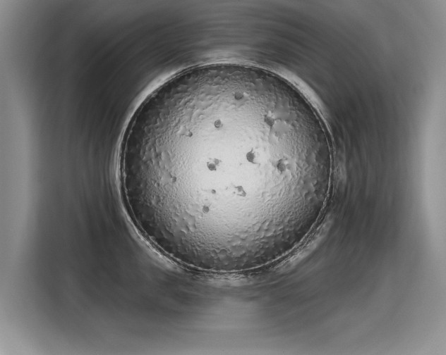 X0000115420957200911101629