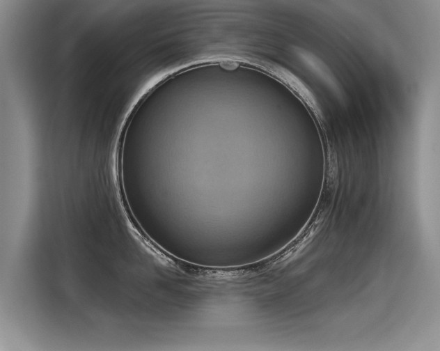X0000115420958200911101629