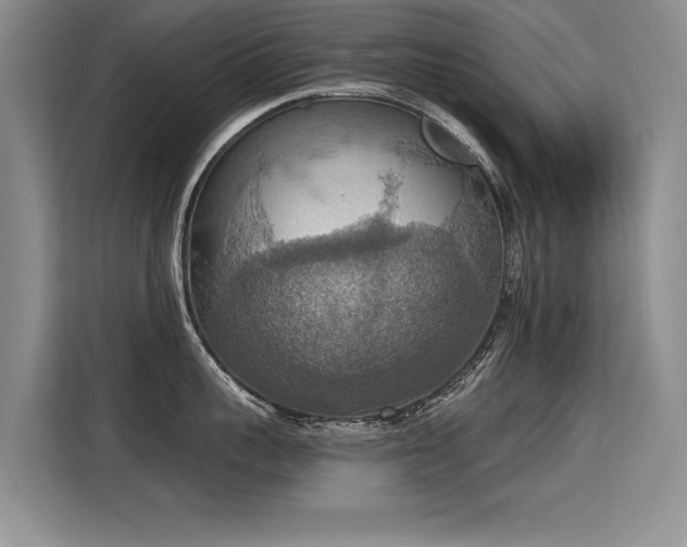 X0000115420959200911101629