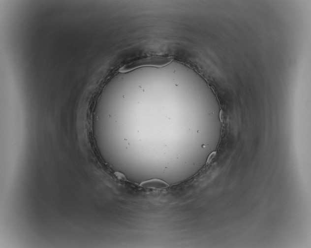 X0000115420961200911101628
