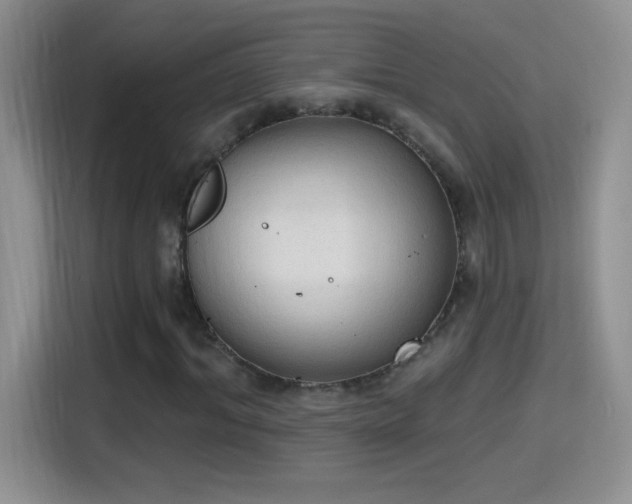 X0000115420964200911101628