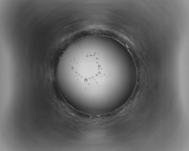 X0000115420965200911101628