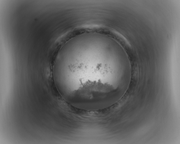 X0000115420966200911101628